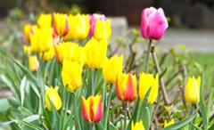 Vi öppnar åter   Långfredag   den 14 april